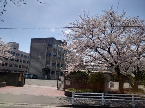 曽左小学校