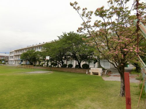 竜王南小学校