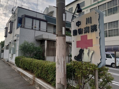 中川動物病院