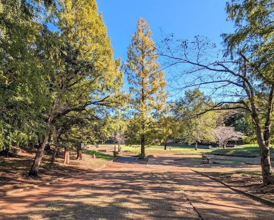 大津ヶ丘中央公園