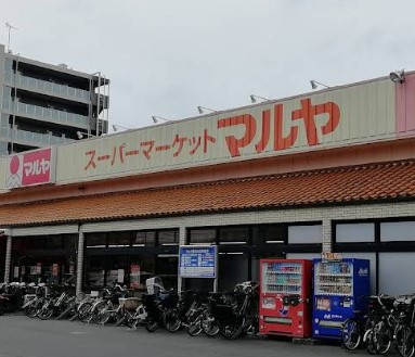 Maruya(マルヤ) 南流山店