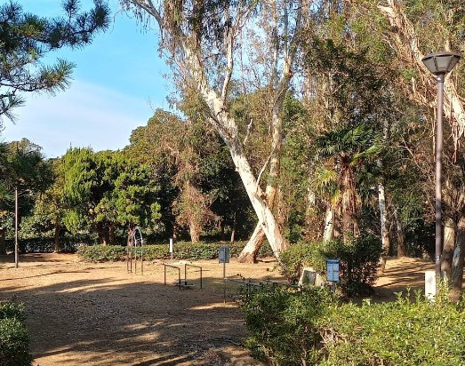 常盤平公園