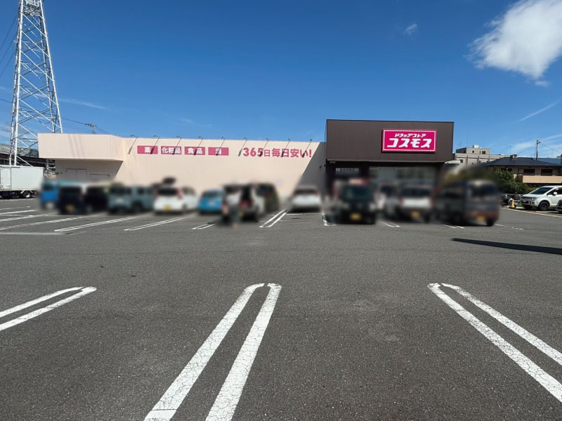 ドラッグストアコスモス高知神田店