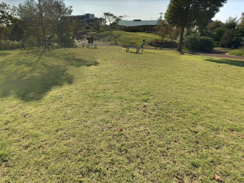 東松戸ゆいの花公園