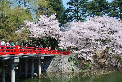 高岡古城公園