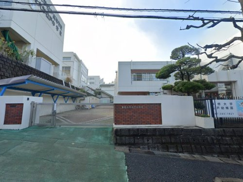 専修大学松戸幼稚園