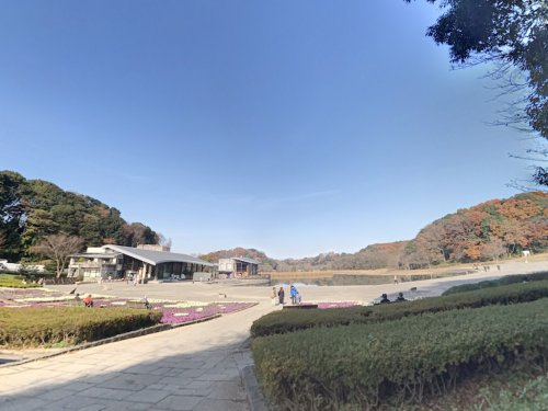 21世紀の森と広場
