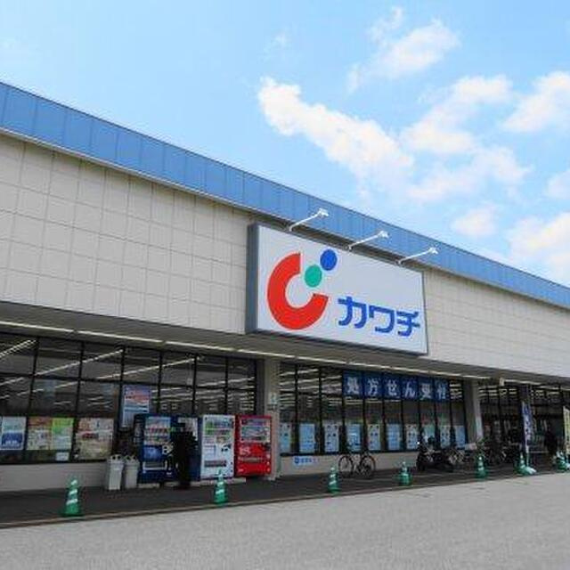 カワチ薬品 坂東店