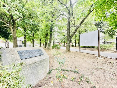 東綾瀬公園