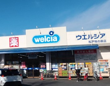 ウエルシア 松戸牧の原店