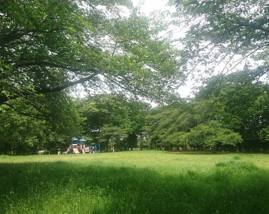 柏ビレジ近隣公園