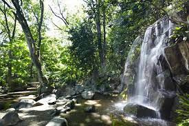 名主の滝公園