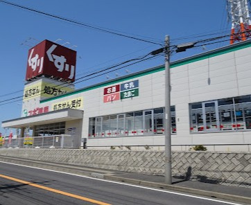 スギ薬局 柏豊四季店