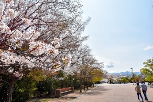 小瀬スポーツ公園