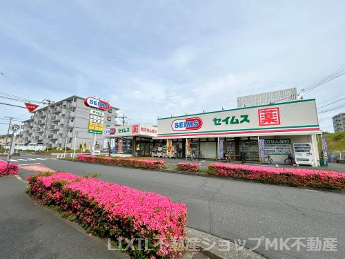 ドラッグセイムス 柳瀬川店