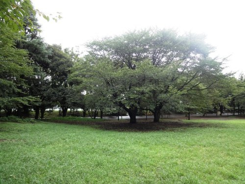 鶴間公園