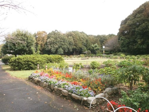 芹沢公園