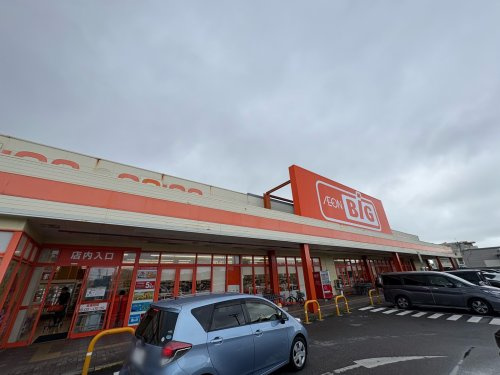 ザ・ビッグ 田場店