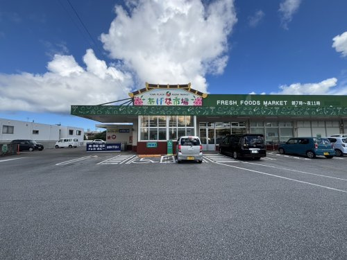 タウンプラザかねひで あげな店
