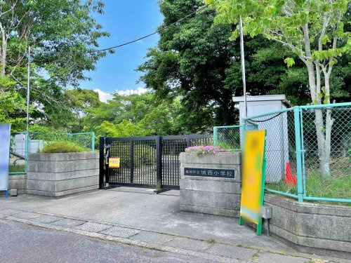 亀岡市立城西小学校