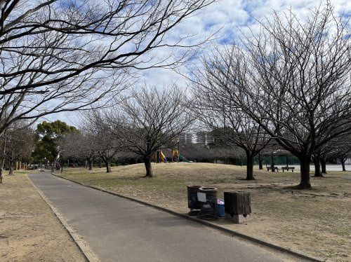 高洲中央公園