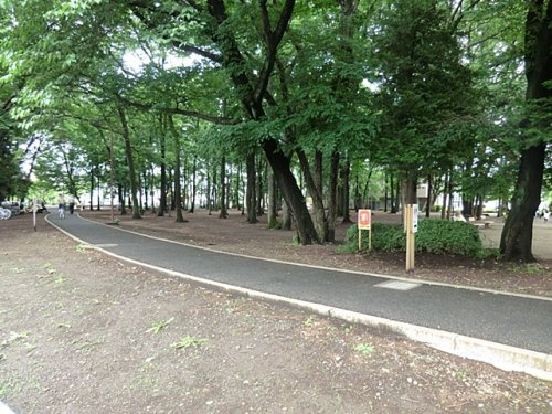 林間公園