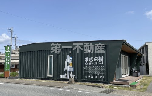 すぎの樹犬と猫のクリニック