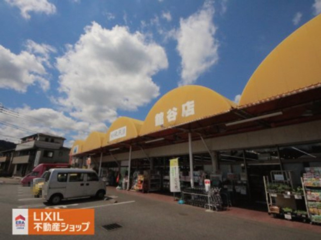 マルフジ 舘谷店
