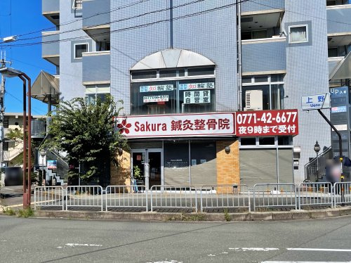 Sakura鍼灸接骨院