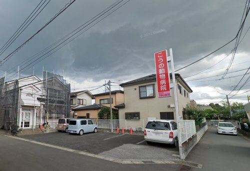 こうの動物病院