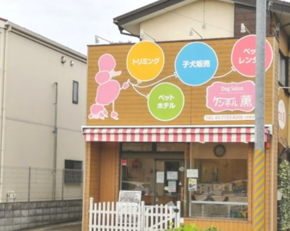 ケンネル薫 柏店