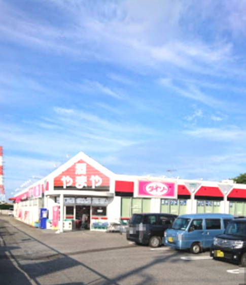 ザ・ダイソー DAISO やまや豊四季店