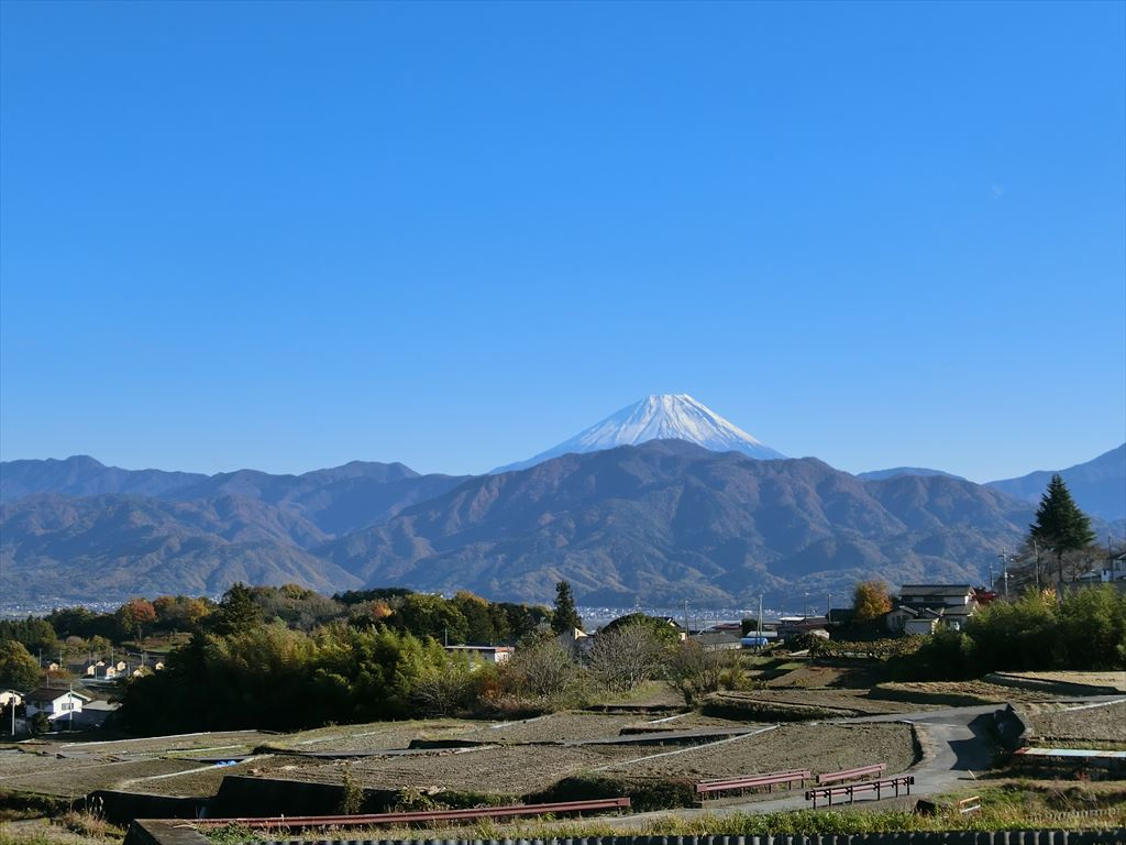 中田の棚田