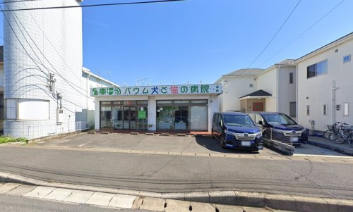 バウム犬と猫の病院