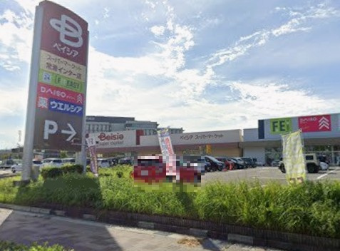 ザ・ダイソー DAISO ベイシア常滑インター店